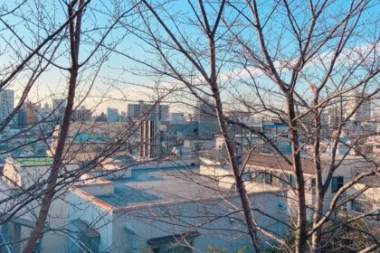 「赤城神社」からの眺望