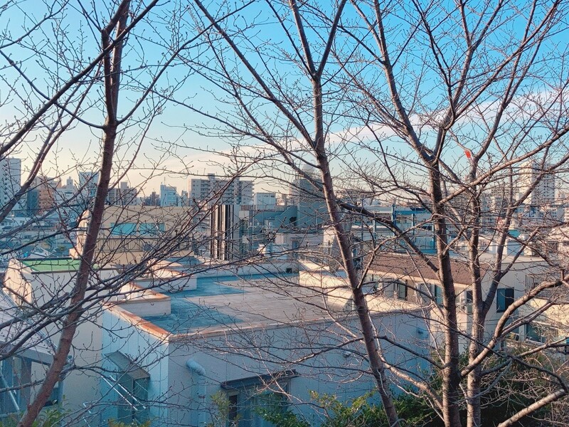 「赤城神社」からの眺望